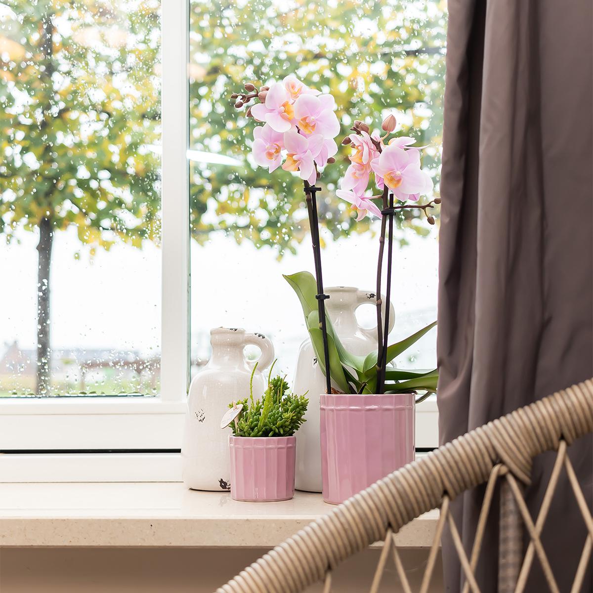 Kolibri Home | Stripe Blumentopf - Rosa Keramik Topf