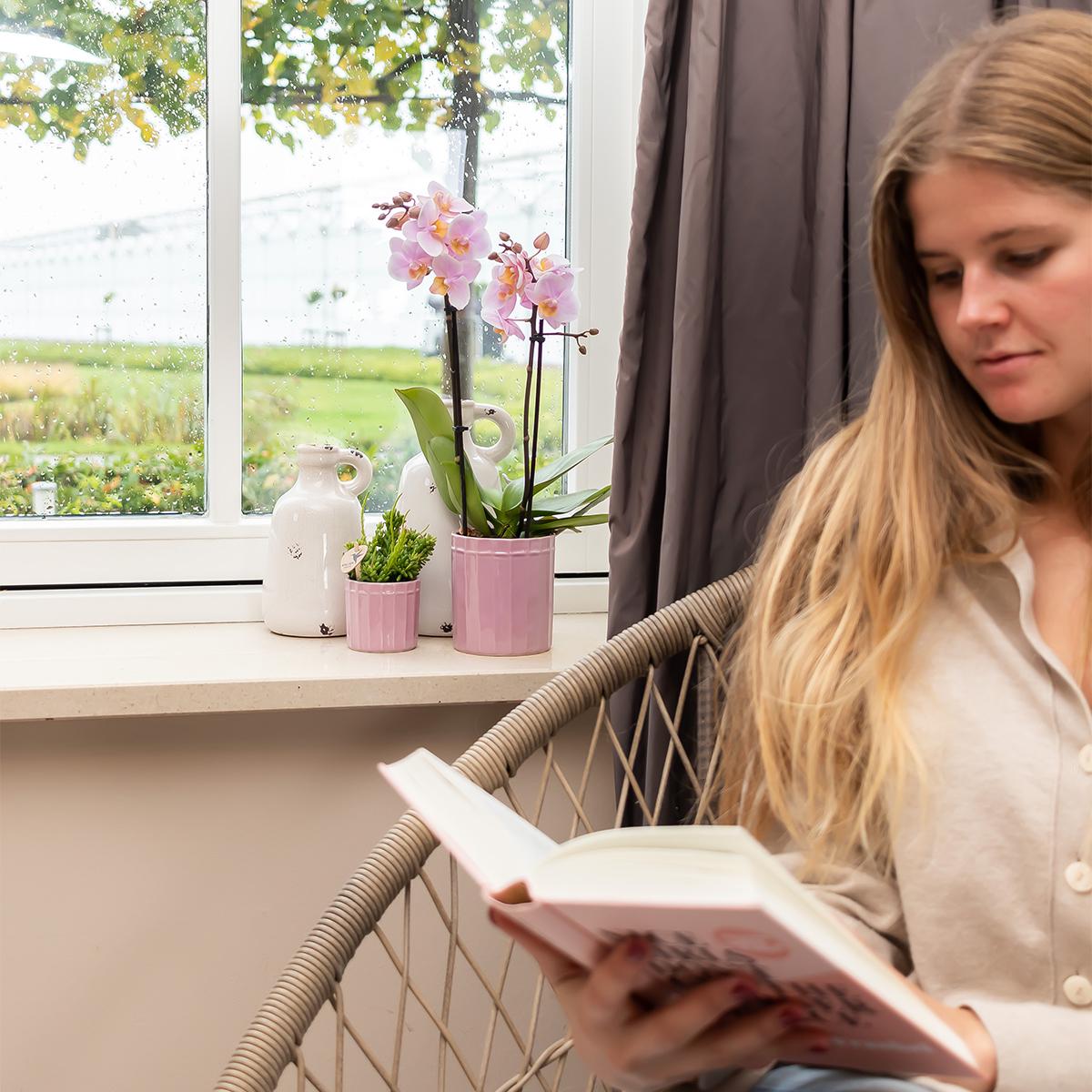 Kolibri Home | Stripe Blumentopf - Rosa Keramik Topf