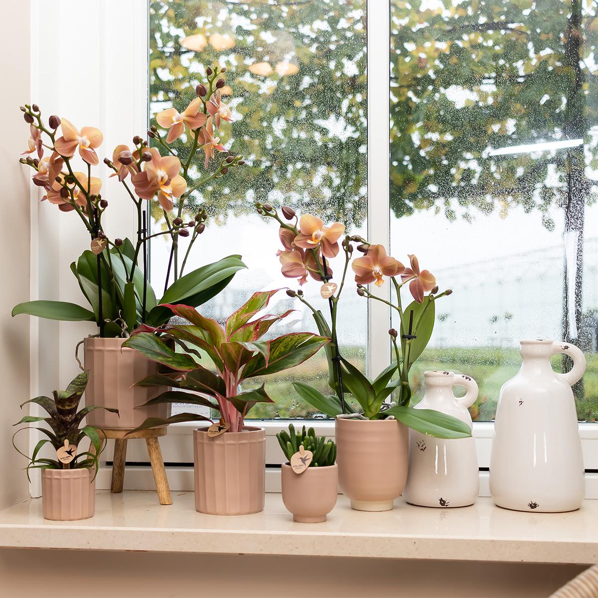 Kolibri Home | Stripe Blumentopf - Sandfarbener Keramik-Topf