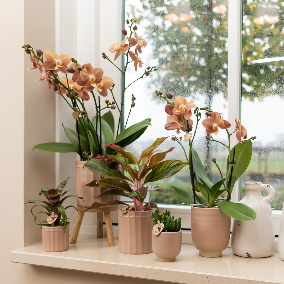 Kolibri Home | Stripe Blumentopf - Sandfarbener Keramik-Topf
