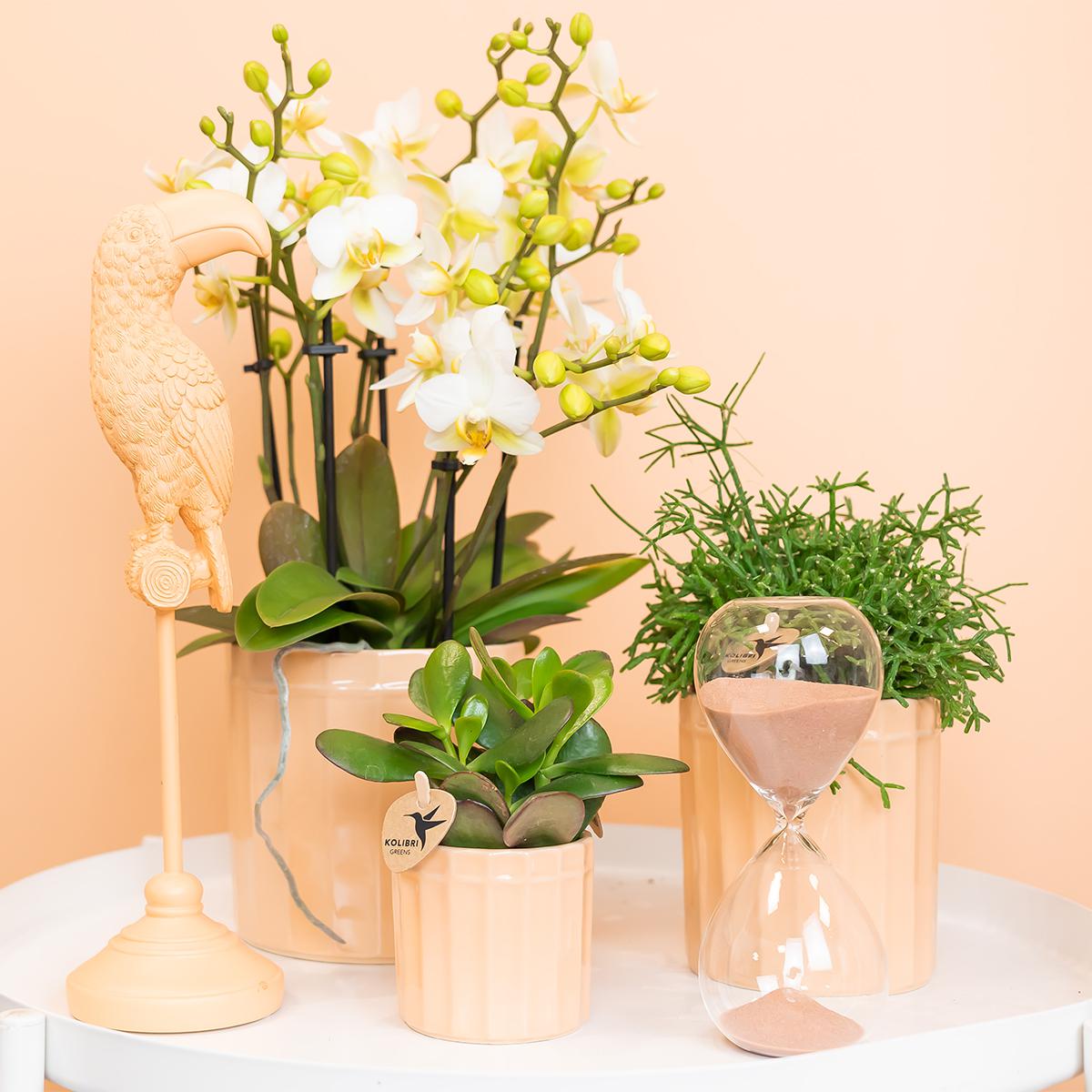 Kolibri Home | Stripe Blumentopf - Pfirsichfarbener Keramik-Topf