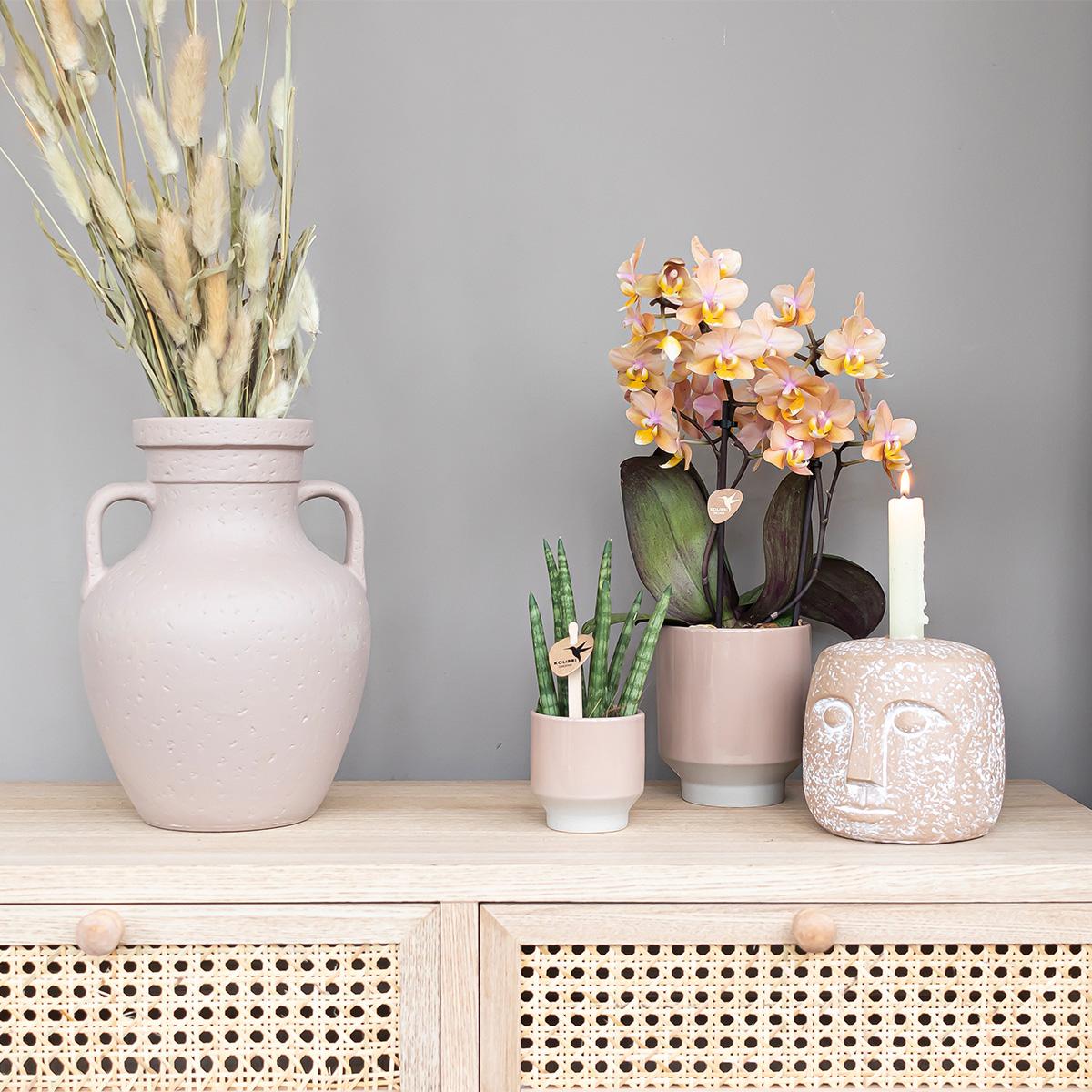 Kolibri Home | Harmony Blumentopf - Sandfarbener Keramik-Topf - Topfgröße Ø6Cm
