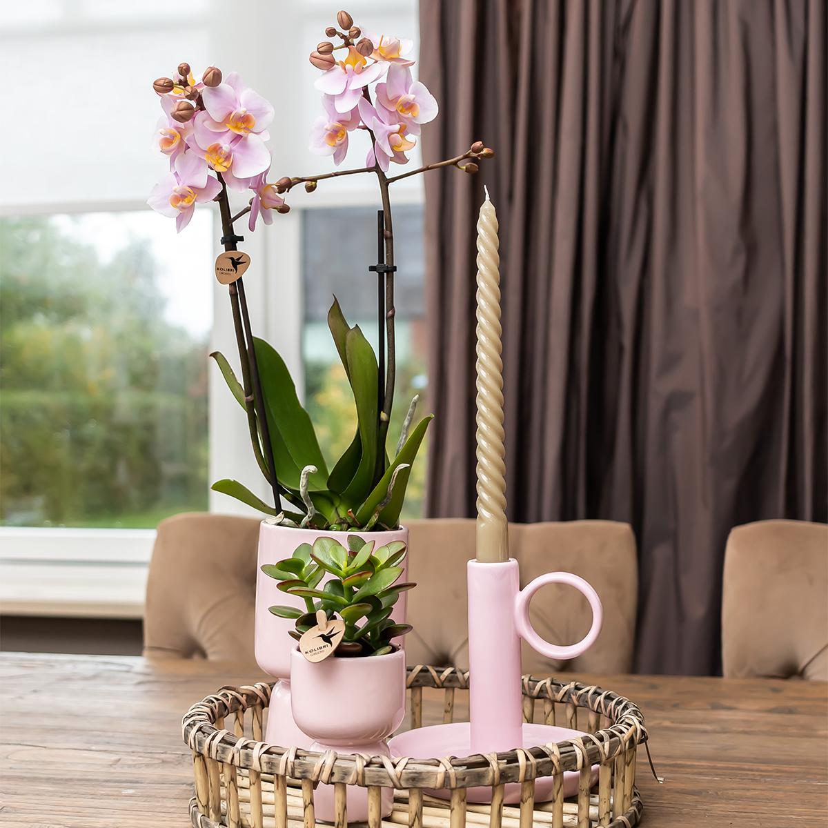 Kolibri Home | Trophy Blumentopf - Rosa Keramik Topf