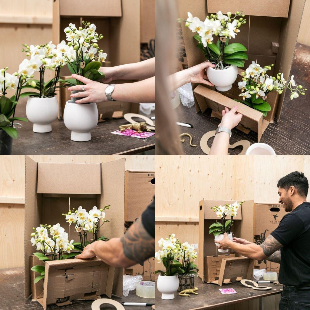 Kolibri Home | Trophy Blumentopf - Rosa Keramik Topf