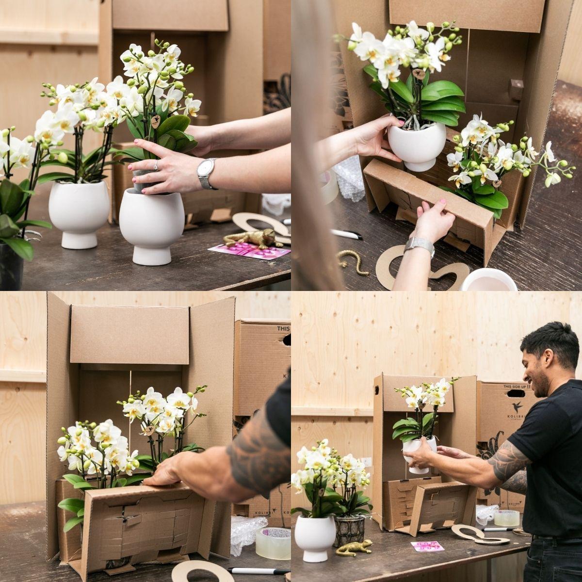 Kolibri Home | Trophy Blumentopf - Rosa Keramik Topf