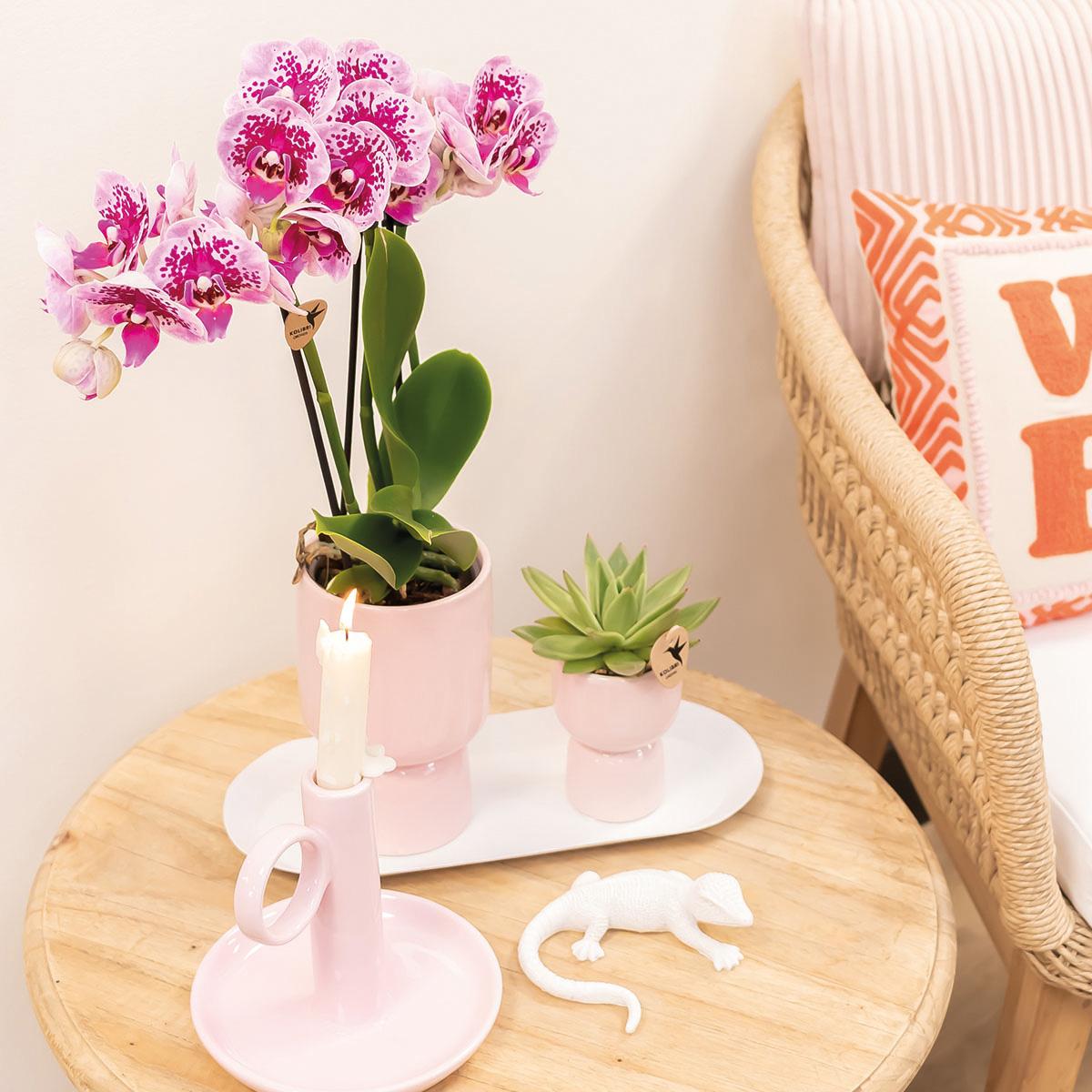 Kolibri Home | Trophy Blumentopf - Rosa Keramik Topf