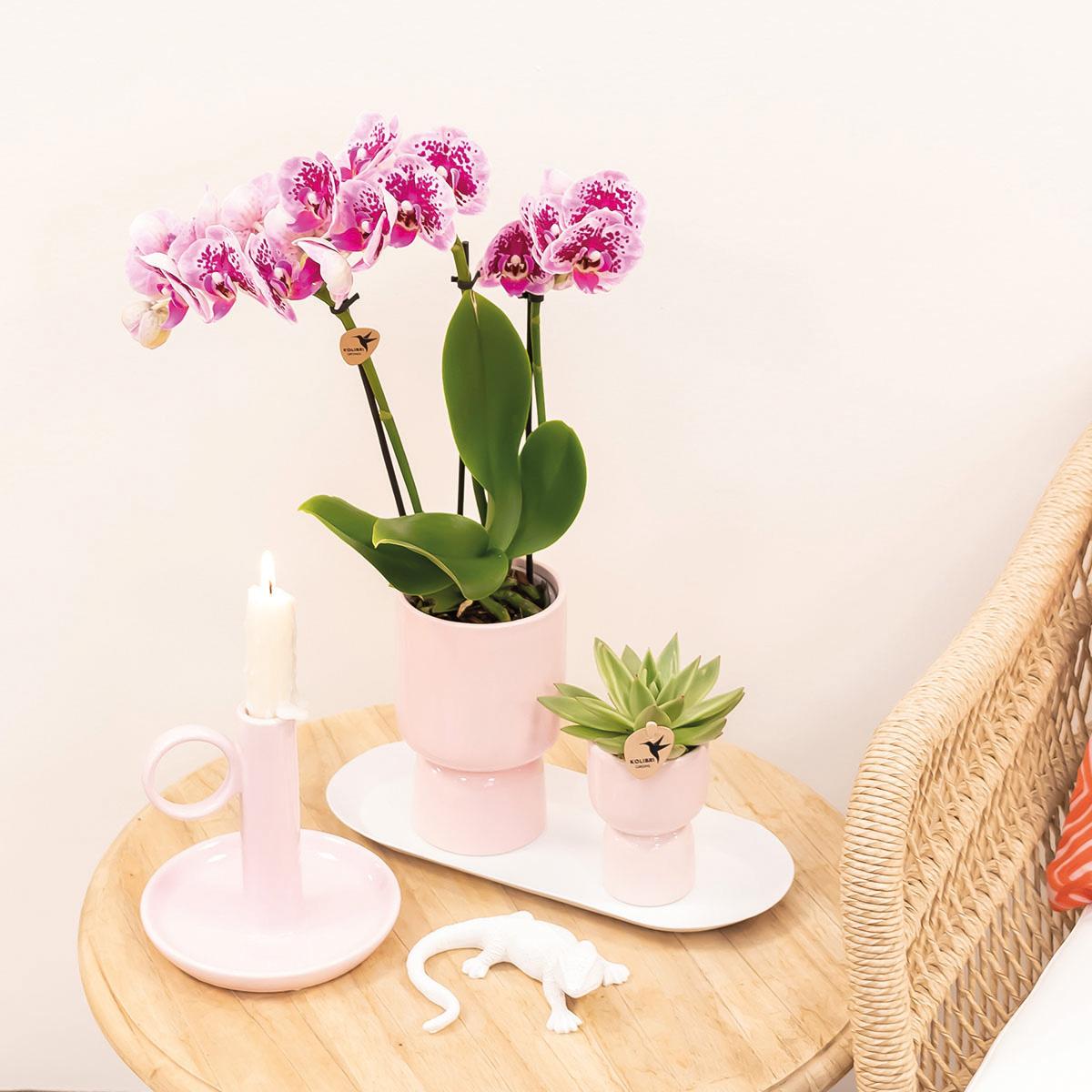 Kolibri Home | Trophy Blumentopf - Rosa Keramik Topf
