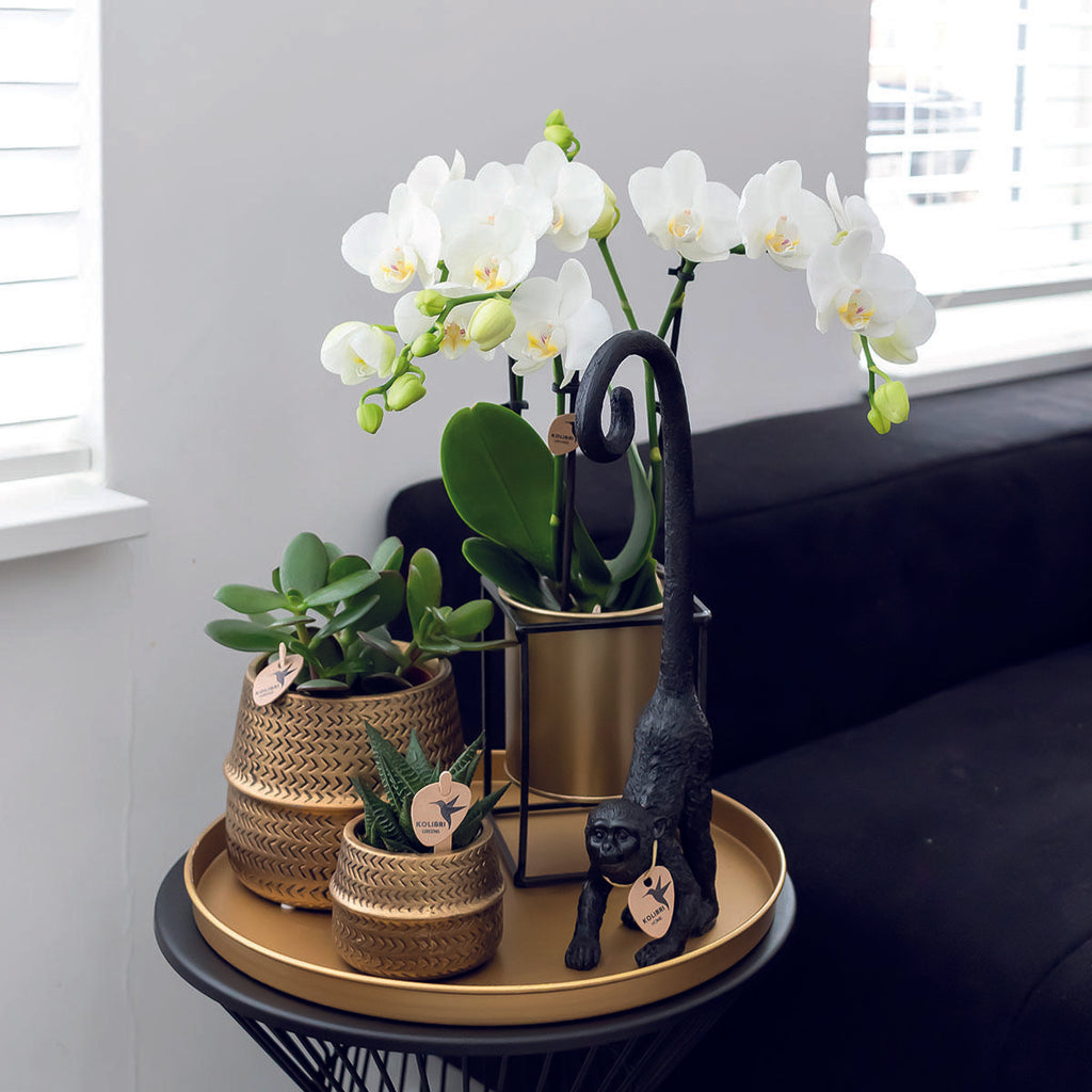 Kolibri Home | Schwimmender Blumentopf - Goldener Zink Deko-Topf Ø9Cm