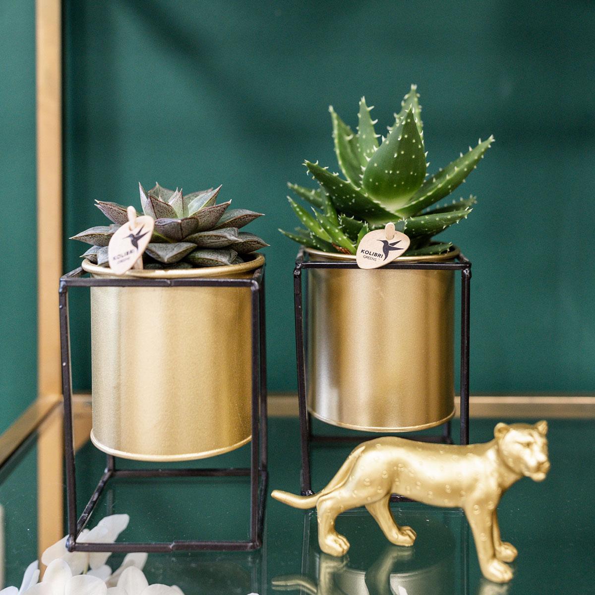 Kolibri Home | Schwimmender Blumentopf - Goldener Zink Deko-Topf Ø9Cm