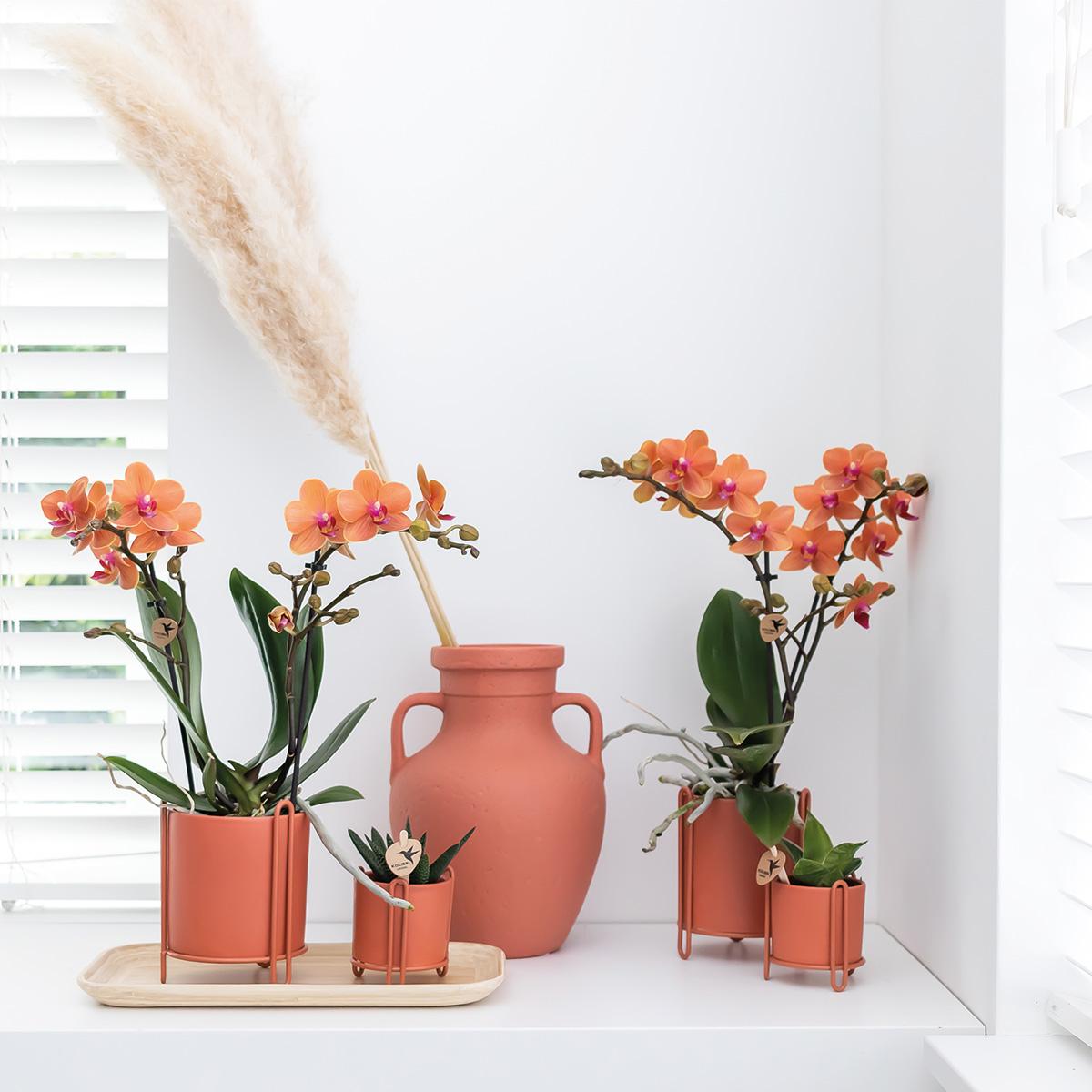 Kolibri Home | Essential Blumentopf - Terrakottafarbener Dekorativer Topf