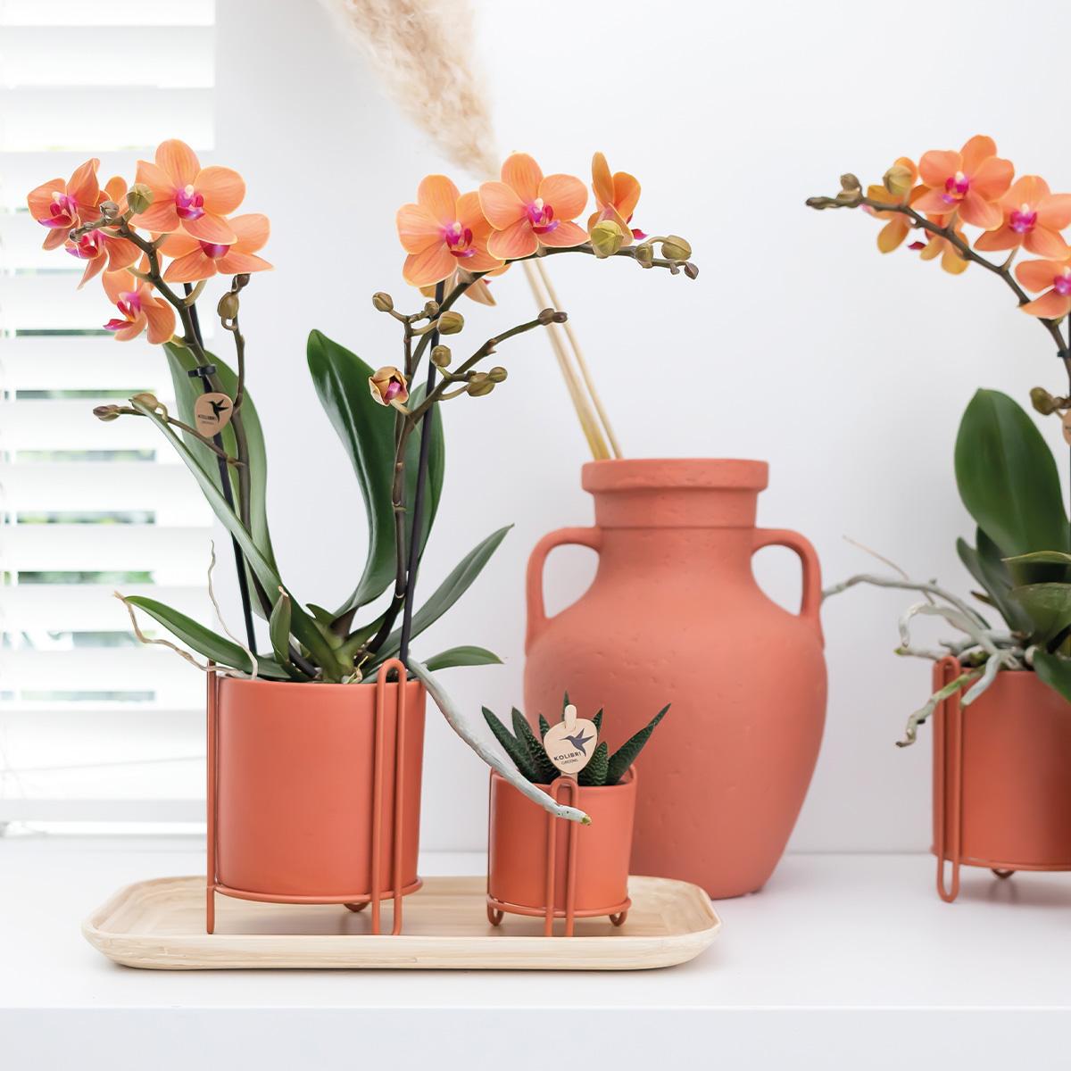 Kolibri Home | Essential Blumentopf - Terrakottafarbener Dekorativer Topf