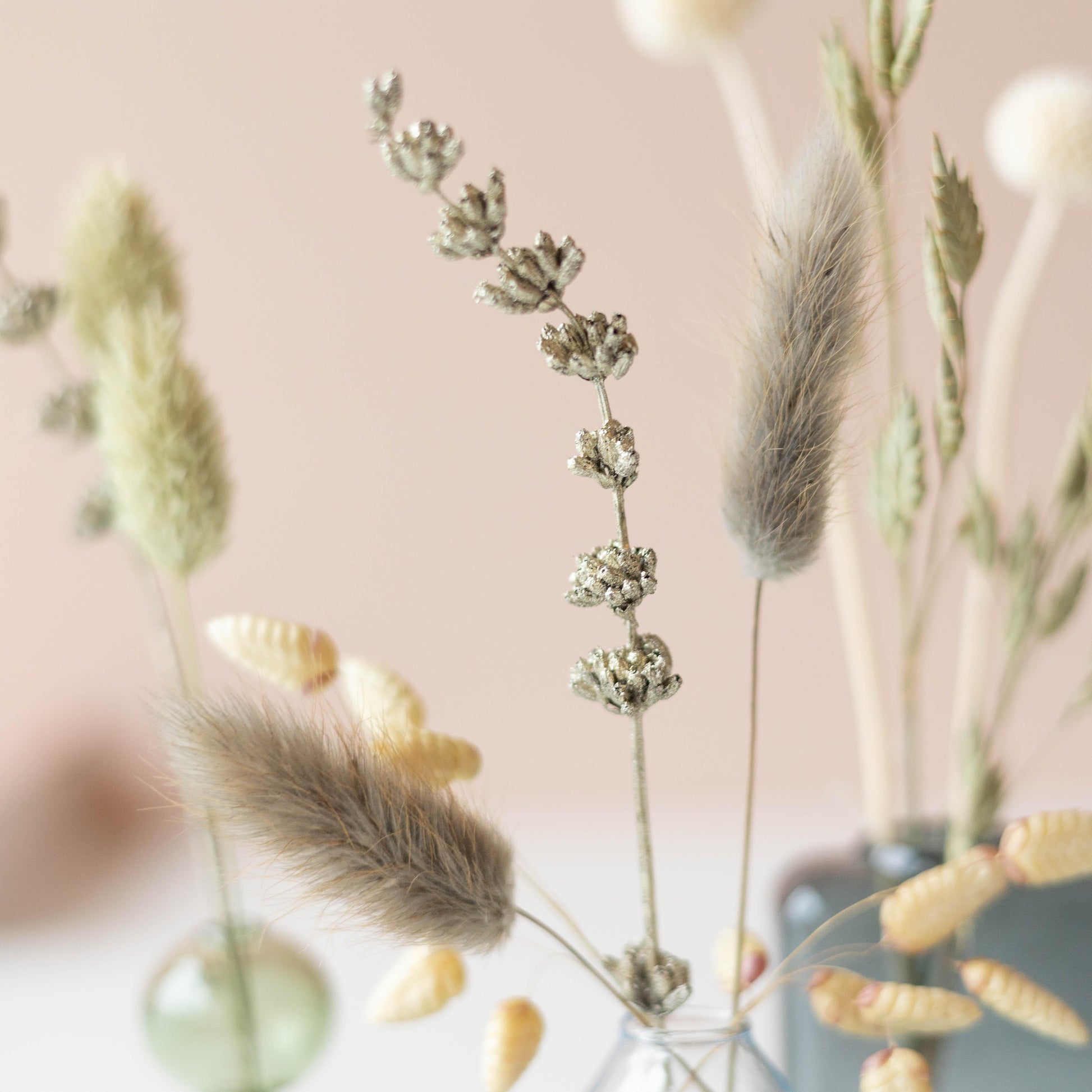 Dried Beauty - Trockenblumen Mit Vasen