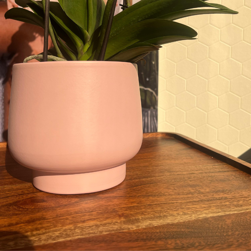 Kolibri Home | Scandic Blumentopf
