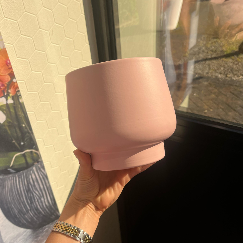Kolibri Home | Scandic Blumentopf